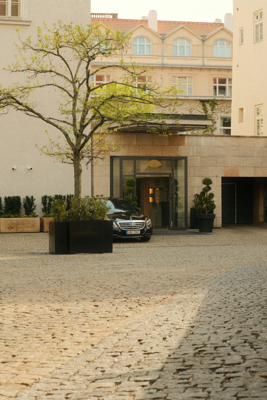 Valet Parking Service